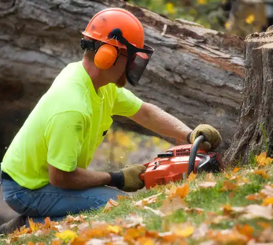 tree services Hamilton Square